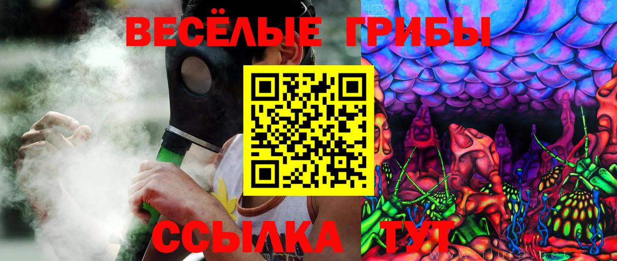 Галлюциногенные грибы Magic Shrooms  Вход с VPN  Мичуринск  Галлюциногенные грибы Cubensis 