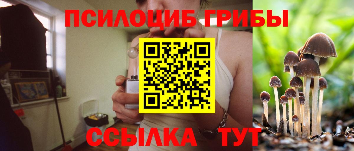 Псилоцибиновые грибы ЛСД Мичуринск
